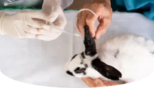 verein-tier-und-naturschutz-geld-fuer-tiere