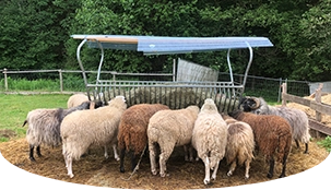 Auch der Melcherhof braucht Geld für seine Tiere Pfeil 24 Auch der Melcherhof braucht Geld für seine Tiere Pfeil 24