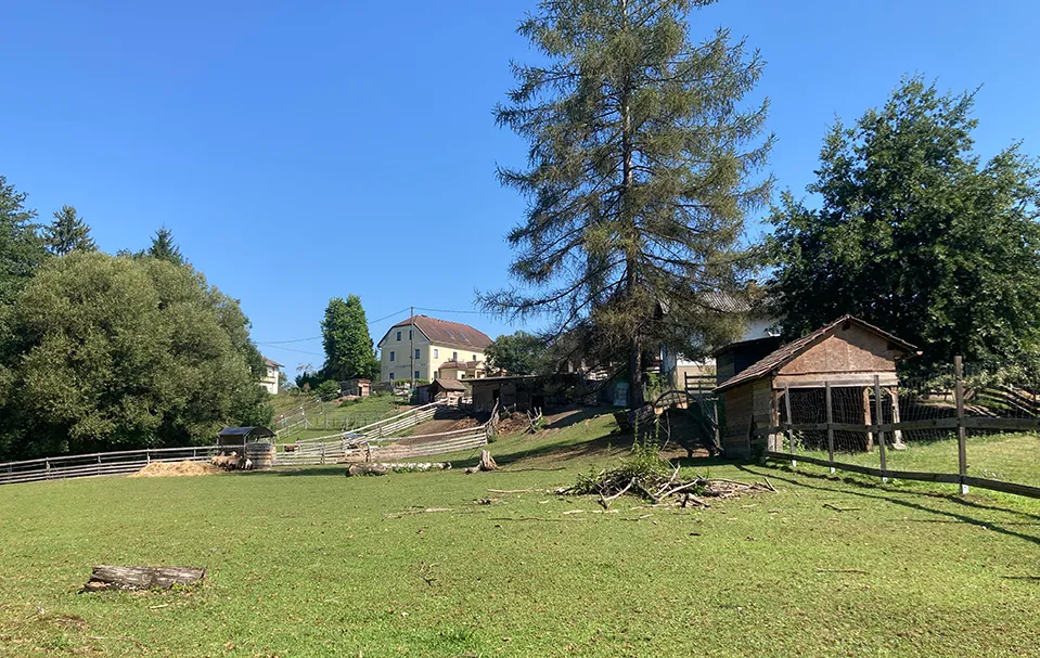 Header Bild vom Melcherhof mit viel Wiese Header Bild vom Melcherhof mit viel Wiese